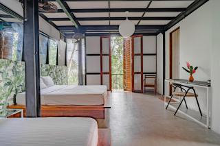 Colive Ahangama - Ahangama - 8