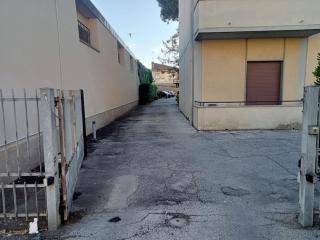 Appartamento Arturo - Viareggio - Viareggio - 3