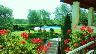 Appartamento dell'Uva - Bardolino - 9