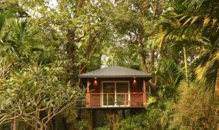 Lulung Aranya Nivas Resort - 0