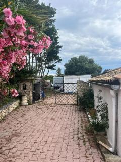 Maison charmante à Marseillan avec grand jardin et terrasse - Marseillan - 1