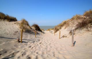 Parador Hippodroom - Bredene - 7