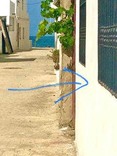 Blue holiday - 0