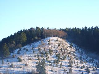 MY HOME Am DISSENHORN - Rottweil - 4