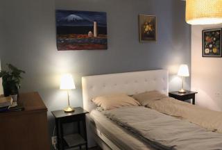 Lovely downtown Reykjavik apartment,Great location - 6