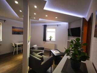 Ferienwohnung mit 11 Einzelzimmern SportCafé - Zwickau - 2