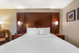 Comfort Inn Fairfield Napa Valley Area - Cordelia - 6