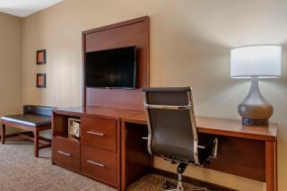 Comfort Suites Manheim - Lancaster - 5