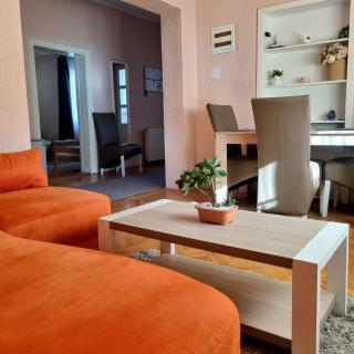 Apartman VEGA - Arandelovac - 3