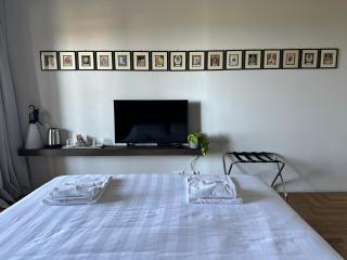 Villa Curiel - Castagneto Carducci - 8