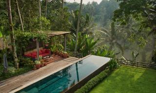 Rumah Kingfisher - Ubud - 5