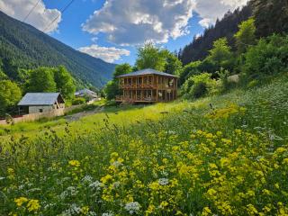 Cozy Cottages - Mestia - 2