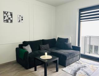 Małe Garbary 8 Apartment - 4