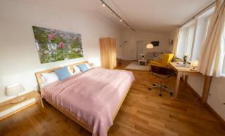 Gästehaus am Michaelshof, im «Haus der Natur» - Neu Darchau - 4