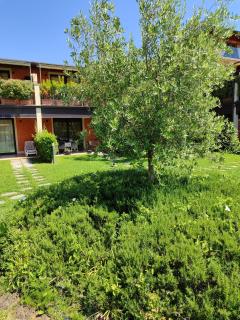 Casa degli Ulivi - 7