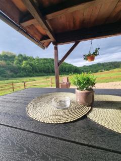 Kuća za odmor Helena - Gornji Budački - 7