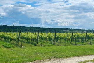 Le Gite Gustave - proche Bordeaux - Salleboeuf - 3