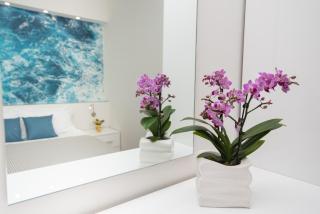 ALTAMAREA Apartment Amalfi Coast - Maiori - 7
