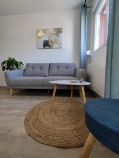 Home Suite Metz & Place de parking privée - Metz - 9