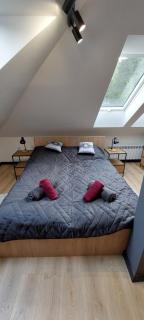 Apartamenty Trzy Kopce SKI & BIKE & SAUNA - Ustroń - 8