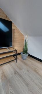 Apartamenty Trzy Kopce SKI & BIKE & SAUNA - Ustroń - 5