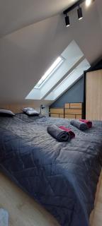 Apartamenty Trzy Kopce SKI & BIKE & SAUNA - Ustroń - 3