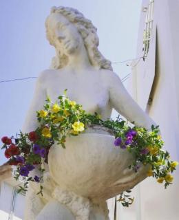 Emozioni Di Campagna - 7