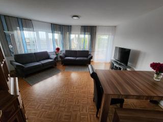 Ferienwohnung Delina Riedheim - Hilzingen - 9
