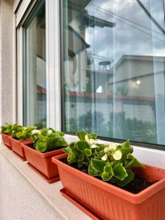 New Luxe Apartments - Mostar - 2