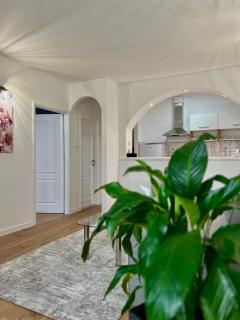New Luxe Apartments - Mostar - 1