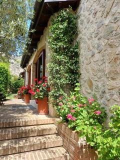 Agriturismo San GIovanni Ad Insulam - Isola del Gran Sasso dʼItalia - 8