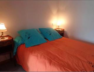Chalet avec SPA à Biscarrosse - Biscarrosse - 1