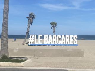 Appartement RDC, 100m plage, 6 pers, terrasse, bbq, parking, TV - FR-1-782-17 - Le Barcarès - 2