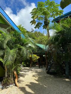 Surf Paradise - Playa Santa Teresa - 7