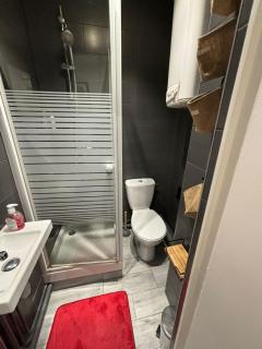 Cozy Studio with in paris - LʼÎle-Saint-Denis - 4