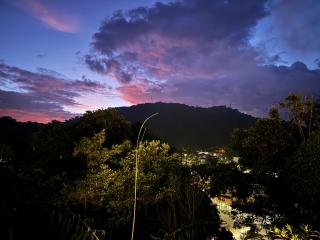 Gold Crest Cameron Highlands - Tanah Rata - 7