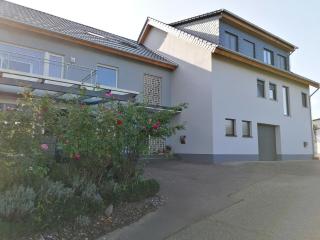 Ferienwohnung "Auf Plandert" - Riol - 8