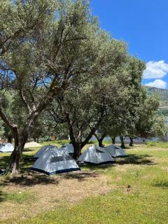 Borsh Olive Camping - 7