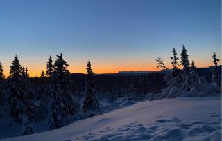 Awesome Home In Aurdal With Sauna - Aurdal - 8