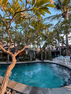 Coconut Dream - Gili Trawangan - 0