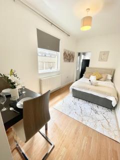 Studio Flat With Private Patio in Stratford - Londra - 0