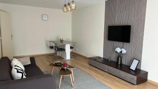 Superbe Appartement tout équipé, Coins cosy à Metz gare, 50M2, Parking privé, Balcon, 2p - 8