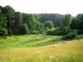 Afbeelding van de locatie