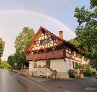Studio beim Rhein - Ziegelhütte - Flaach - 0
