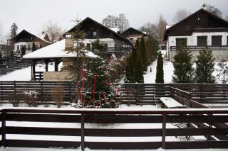 Challet Renatte Bran your home away from home - Bran - 7