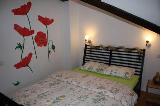 Challet Renatte Bran your home away from home - Bran - 4
