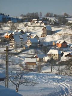 Challet Renatte Bran your home away from home - Bran - 1