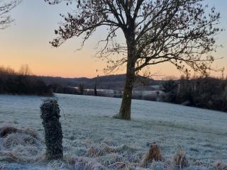 Castleview Apartment 1 - Cavan - 4