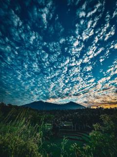 Girang Rinjani Bungalows - Tetebatu - 2