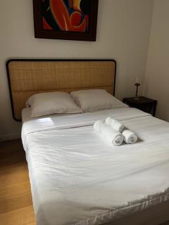 Chambres jardin des plantes pantheon - 3